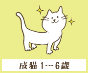 【3匹の愛猫で食べ比べ!!】キャットフードおすすめランキング
